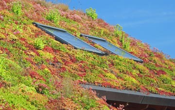 Sherfield On Loddon living roof systems